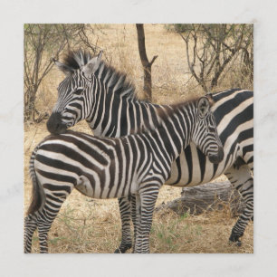 Mother and Baby Zebra Invitations
