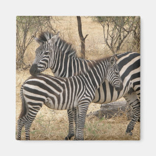 Mother and Baby Zebra Magnet
