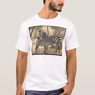 Mother and Baby Zebra Men's T-Shirt