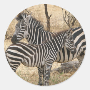 Mother and Baby Zebra  Sticker