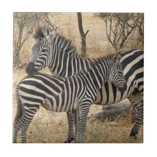 Mother and Baby Zebra  Tile