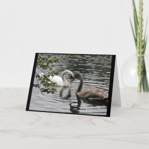 Mother and Child -- A Swan Greeting Card