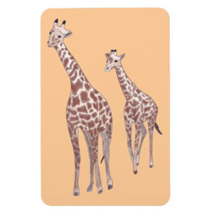 Mother and child giraffes drawing custom magnets