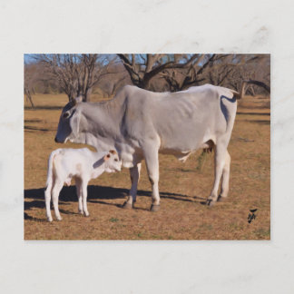 Mother and Child Postcard