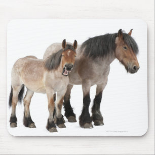 Mother and foal smiling, Belgian horse, Belgian Mouse Pad