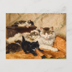 Mother and Her Kittens Postcard
