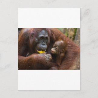 Mother and son postcard