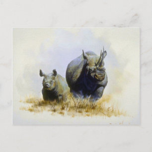 Mother and son, Rhinoceros Postcard