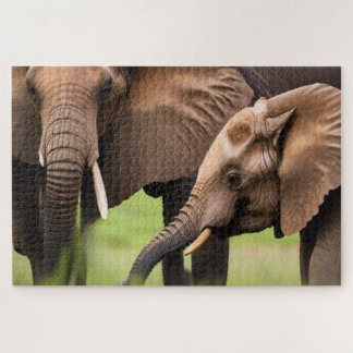 Mother & Baby Elephant Jigsaw Puzzle