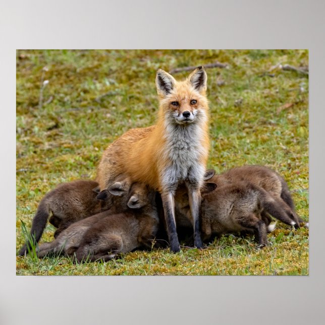 Mother Be Like Poster (Front)