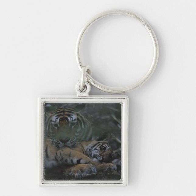 Mother Bengal Tiger with Cub Key Ring (Front)