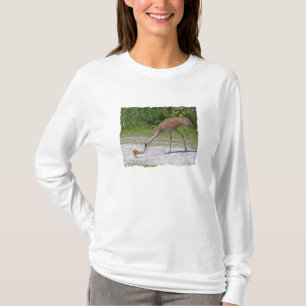 Mother Bird and Baby Bird Sandhill Cranes T-Shirt