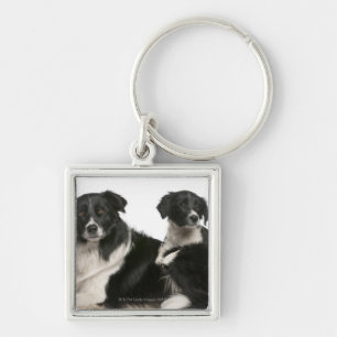 Mother border collie and puppy key ring