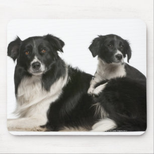 Mother border collie and puppy mouse pad