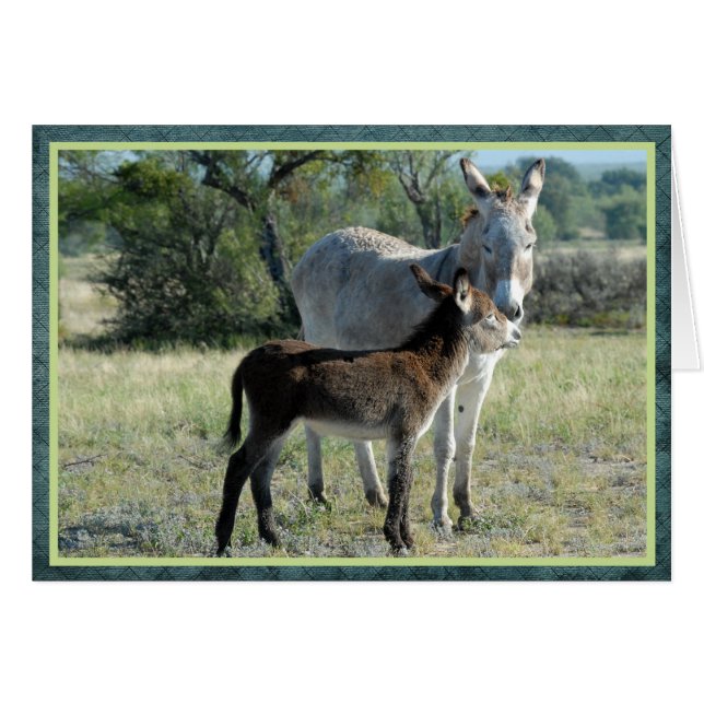 Mother burro and baby (Front Horizontal)