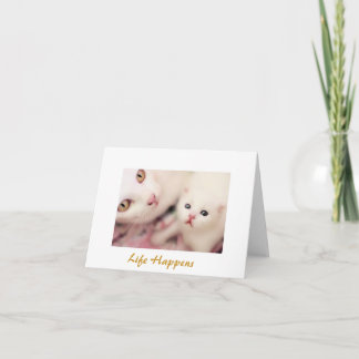 Mother Cat and Baby Blank Note Cards