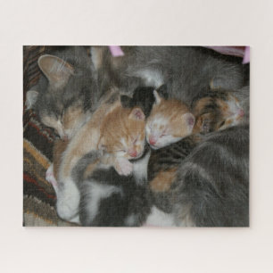 Mother Cat and Baby Kittens Jigsaw Puzzle