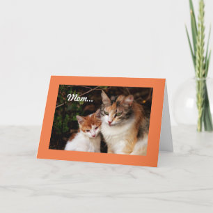 Mother Cat And Kitten Card