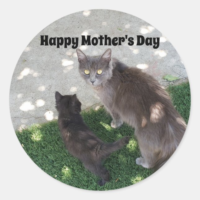 Mother Cat and Kitten Photo Happy Mother's Day Classic Round Sticker (Front)