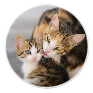 Mother Cat Loves Cute Kitten Ceramic Knob