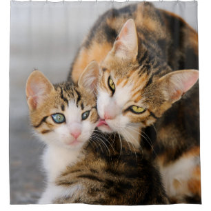 Mother cat loves cute kitten, Tub Shower Curtain