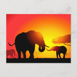 Mother & Child Elephants at Sunset Postcard