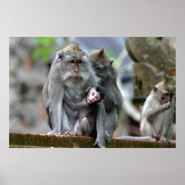 Mother & Child Poster (Front)