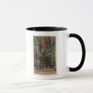"Mother" & "Daughter" at Big Trees Park Mug
