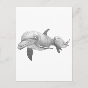 MOTHER DOLPHINS LOVE POSTCARD