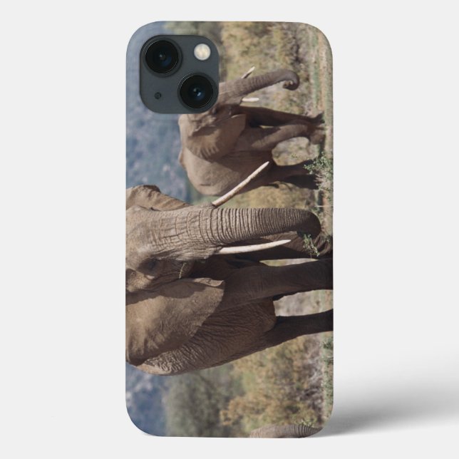 Mother elephant walking with elephant calf Case-Mate iPhone case (Back)