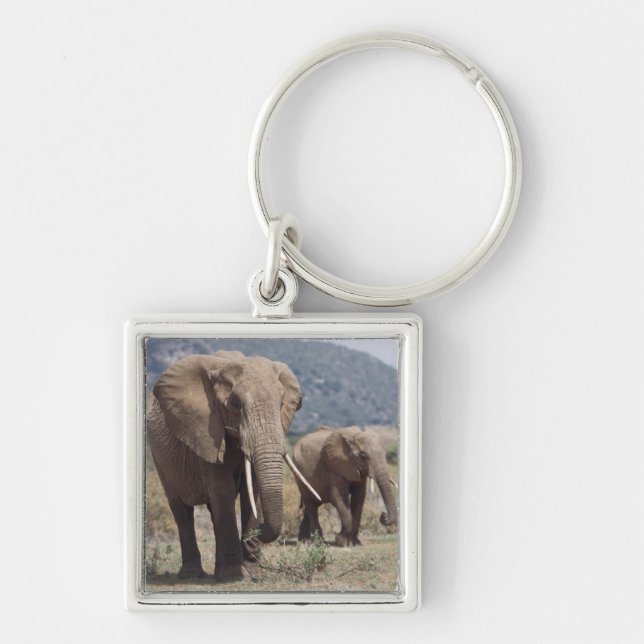 Mother elephant walking with elephant calf key ring (Front)