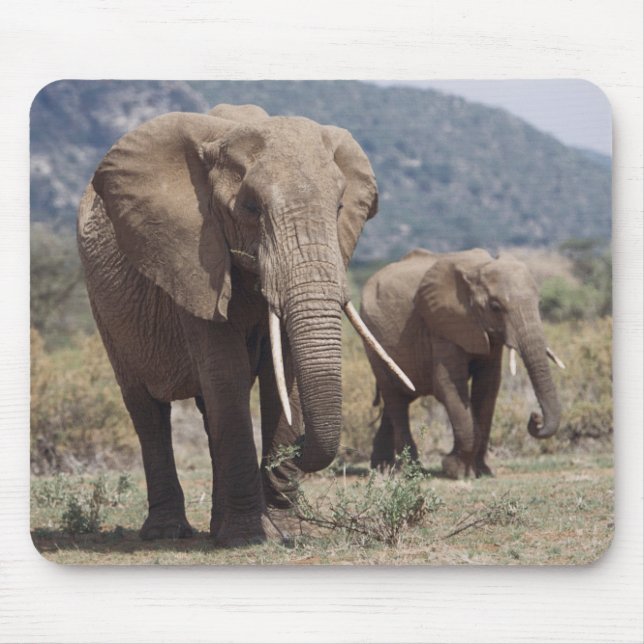 Mother elephant walking with elephant calf mouse pad (Front)