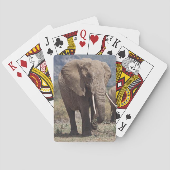 Mother elephant walking with elephant calf playing cards (Back)