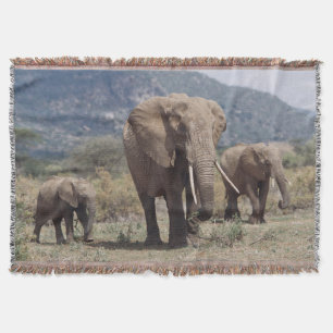 Mother elephant walking with elephant calf throw blanket