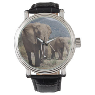 Mother elephant walking with elephant calf watch