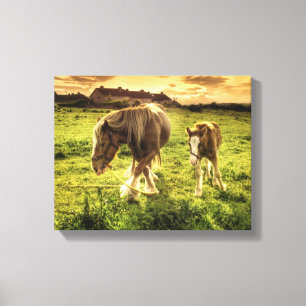 Mother & Foal Horse Canvas Print