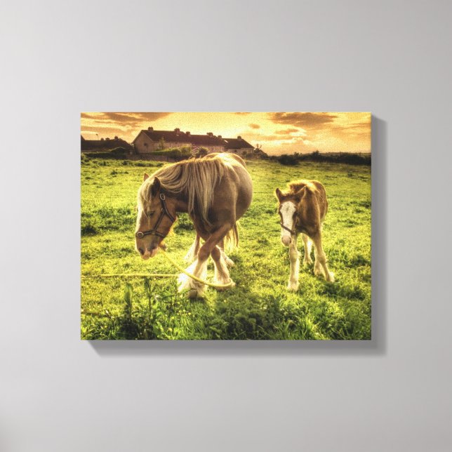 Mother & Foal Horse Canvas Print (Front)