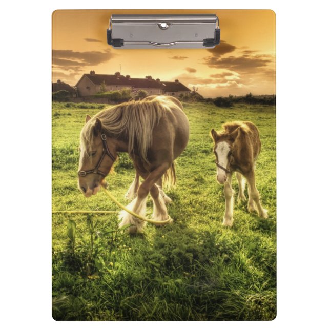Mother & Foal Horse Clipboard (Front)