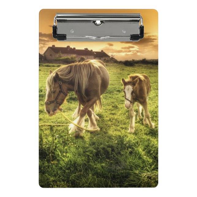 Mother & Foal Horse Mini Clipboard (Front)