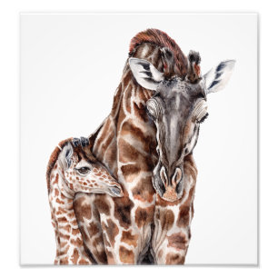 Mother Giraffe with Baby Giraffe Art Print