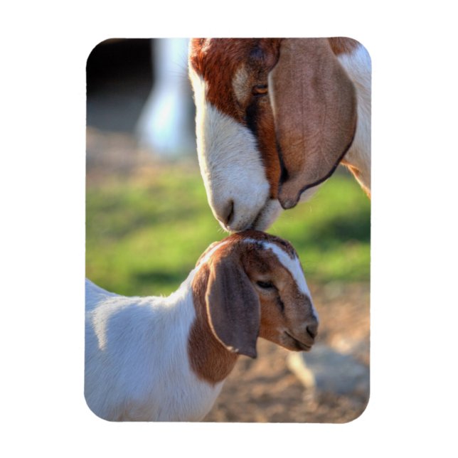 Mother Goat & Baby Magnet (Vertical)