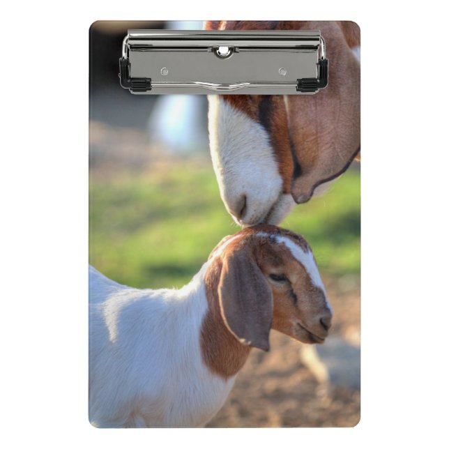 Mother Goat & Baby Mini Clipboard (Front)