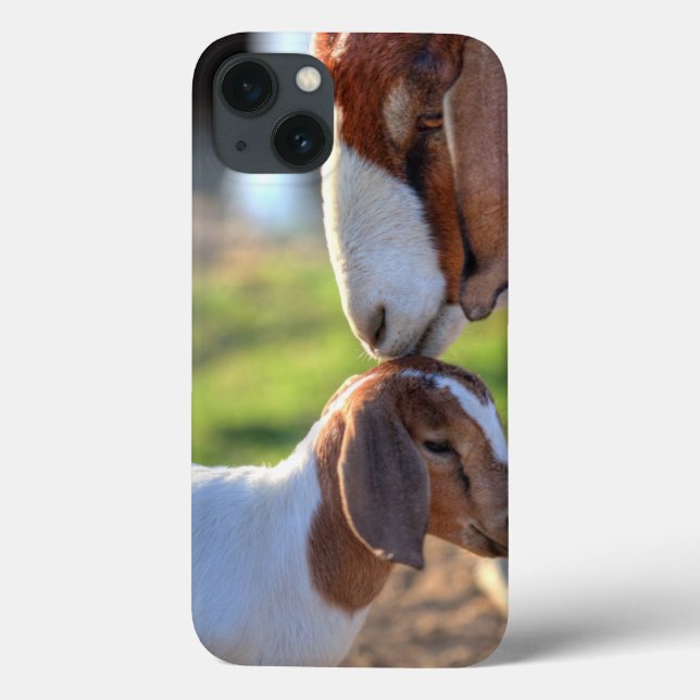Mother goat kissing her baby on head. Case-Mate iPhone case (Back)