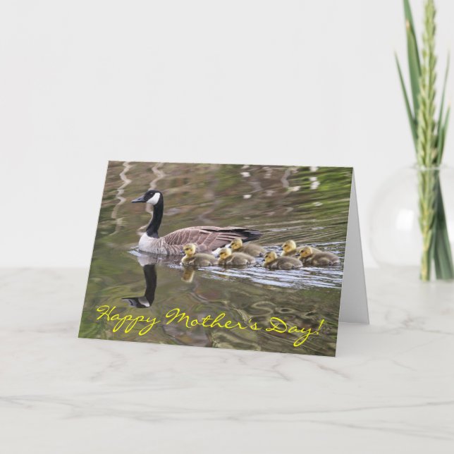 Mother Goose and Baby Geese Photo Card (Front)