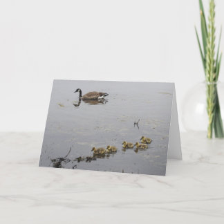 Mother Goose and Goslings Mother's Day card