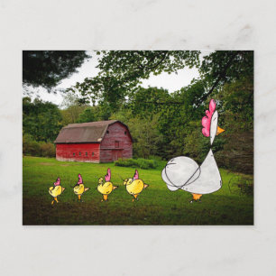 Mother Hen Postcard