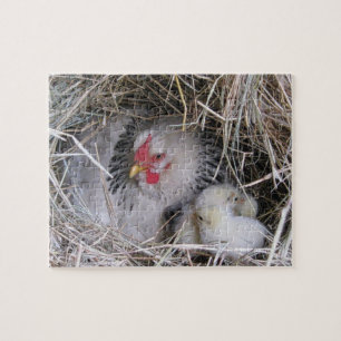 Mother Hen with New Chicks Jigsaw Puzzle
