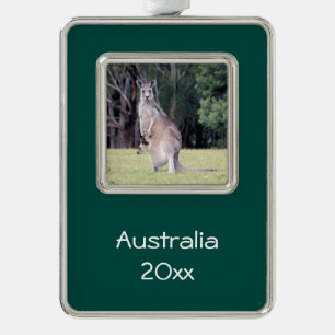 Mother Kangaroo with Baby Joey in Her Pouch Silver Plated Framed Ornament