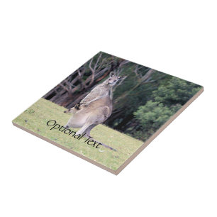 Mother Kangaroo with Baby Joey in Her Pouch Tile