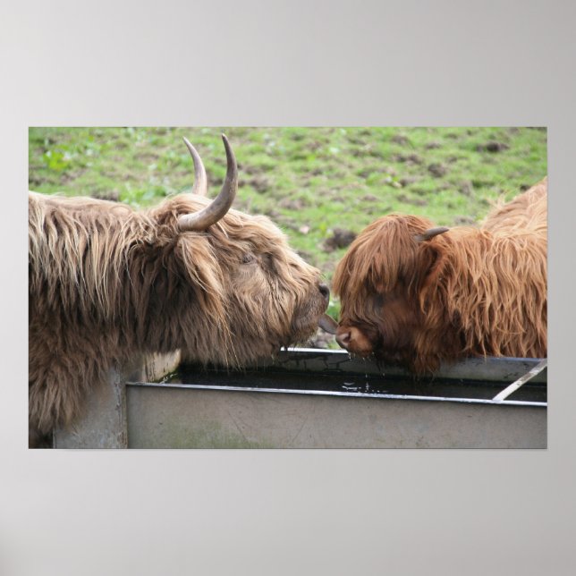 Mother Love Poster Print (Front)